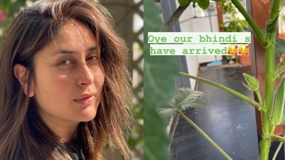 Kareena Kapoor shares a glimpse of her home kitchen garden.