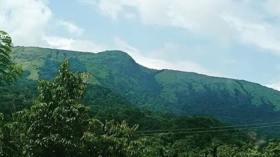 Coorg Karnataka: From enchanting waterfalls to coffee plantations, this destination in the South turns even more romantic in the monsoon season. If you want to get lost in the rains then plan for a road trip from Bangalore to Coorg which takes five hours. (Instagram/@rajeev.nambiar.307)