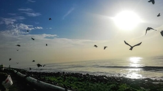 Pondicherry: From adorable villas to picturesque beaches, Pondicherry is the place to go for all beach lovers. Visiting cafes and bars during the rainy season and enjoying a cup of coffee or French delicacies will surely brighten your day. (Instagram/@clics_of_pondicherry)