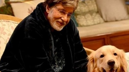Part of Amitabh Bachchan's bungalow Prateeksha will be demolished for road widening, reports said.