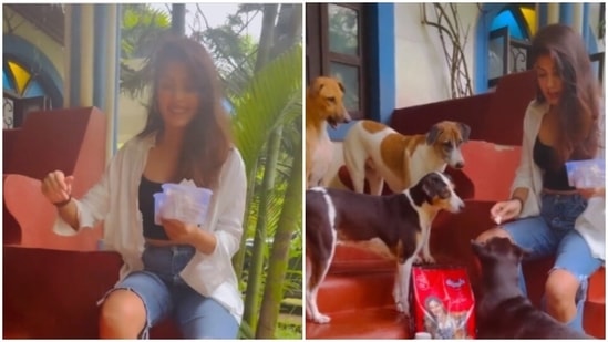 Rhea Chakraborty feeds stray dogs.