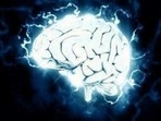 The researchers found that brain lesions associated with self-reported spirituality map to a brain circuit centred on the periaqueductal grey.(ANI)