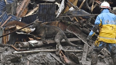 A police officer with a search and rescue dog works at the site of a mudslide caused by heavy rain at Izusan district in Atami, Japan. (via REUTERS)