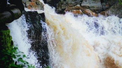 Tambdi Surla Falls: You need to hike to reach this pristine waterfalls hidden away in the lush Western Ghats. The cascade is within Bhagwan Mahavir Wildlife Sanctuary and Mollem National Park.  (Instagram/@souju.soujesh)
