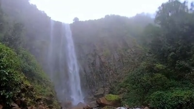 Sada Falls: You will have to trek 4-km to reach the falls. The water falls from a height of roughly 200 feet making it one of the tallest waterfalls in Goa. (Instagram/@shivakumar_rg)