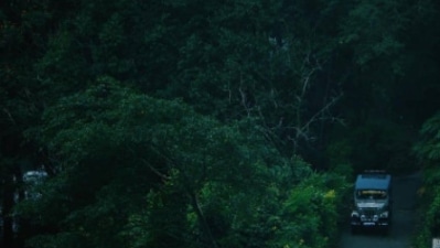 We curse the heavy tourism in popular national parks, but we don’t allow for other nature-hotspots to flourish. (Instagram/@the.munnar.trip)