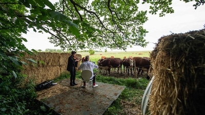 A herd of cows gathers as cellist Jacob Shaw (C) and violinist Roberta Verna (L) play a concert of classical music on June 15 in Stevns, Denmark. Cattle even have their preferences, Shaw argues, even if the subtlety may escape the layman. "They react differently to different pieces, we played something that was slightly catchier and a bit more modern and a lot of them didn't like it and left," he said. (Jonathan Nackstrand / AFP) A herd of cows gathers as cellist Jacob Shaw (C) and violinist Roberta Verna (L) play a concert of classical music on June 15 in Stevns, Denmark. Cattle even have their preferences, Shaw argues, even if the subtlety may escape the layman. "They react differently to different pieces, we played something that was slightly catchier and a bit more modern and a lot of them didn't like it and left," he said. (Jonathan Nackstrand / AFP)