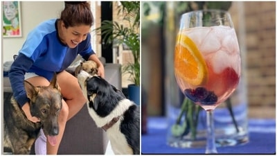 Priyanka Chopra cuddling with her doggies in a new picture.