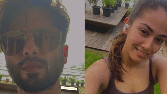 Shahid Kapoor and Mira Rajput share glimpses of their Sunday morning activities. 
