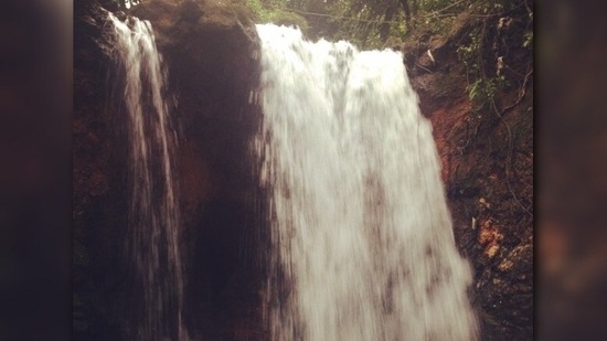 Kesarval Falls: ‘Kesarval’ is derived from the regional word for eagles. It is believed that the water has medicinal properties which makes it a famous tourist attraction. (Instagram/@chester_miranda)