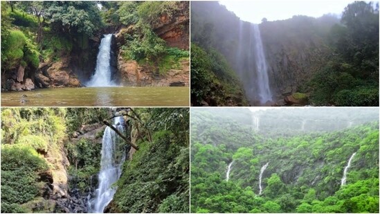 Goa is blessed with not just beautiful beaches but also breathtaking waterfalls that will leave you awestruck. Here are a few must-visit falls in Goa that cannot go missed.(Instagram)