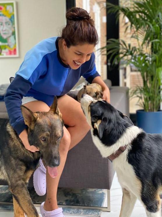 Priyanka Chopra with her dogs.