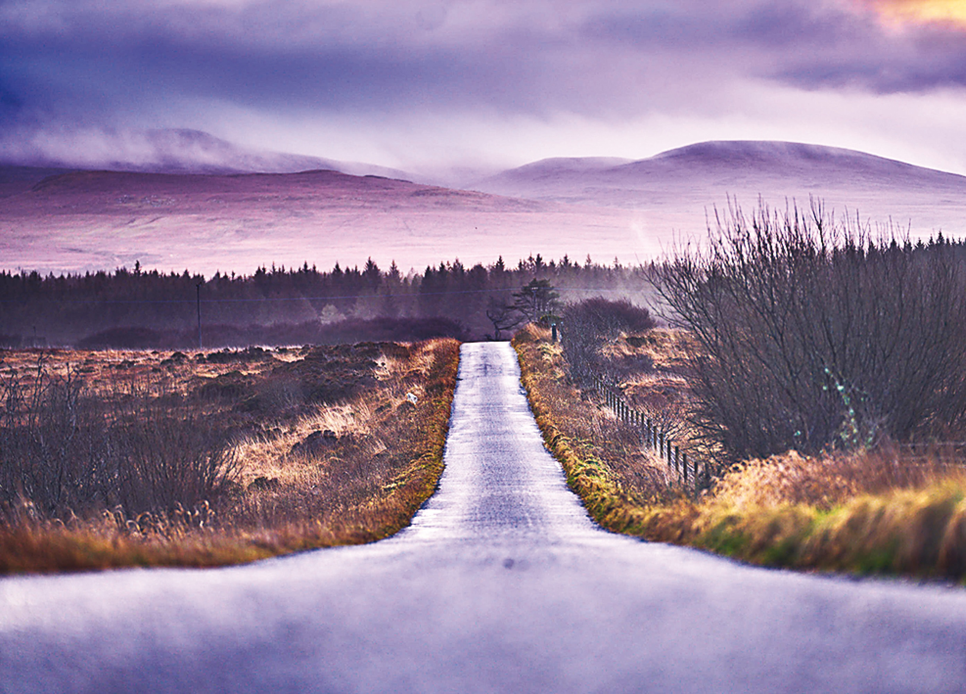 Islay is a rugged and remote island, with a wild beauty Islay is a rugged and remote island, with a wild beauty