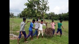 The image shows a group of men carrying a tree fastened to a bamboo pole.