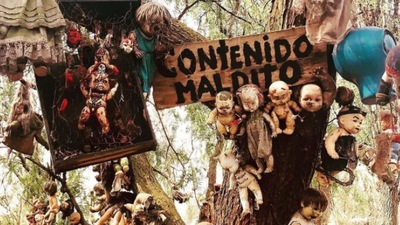 Island of Dolls, Mexico: On an island close to Mexico City, you will find weird dolls hanging by the tress. If you have watched enough horror movies on dolls then you know what this is all about. Legend has it that a young woman drowned on the island after which the owner placed dolls to keep her away. But it is believed that he too died the exact same way as the girl.  (Instagram/@espookytales)