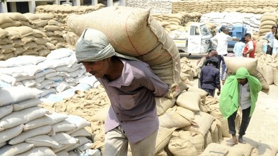 Procurement refers to the government’s buying of farm produce at minimum support prices, or MSP, from growers. Procurement refers to the government’s buying of farm produce at minimum support prices, or MSP, from growers.