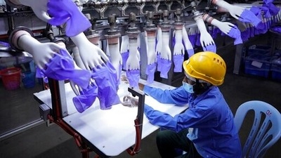 Some Malaysian rubber glove makers and palm oil plantations have come under scrutiny over allegations of forced labor. (AP | Representational image) Some Malaysian rubber glove makers and palm oil plantations have come under scrutiny over allegations of forced labor. (AP | Representational image)