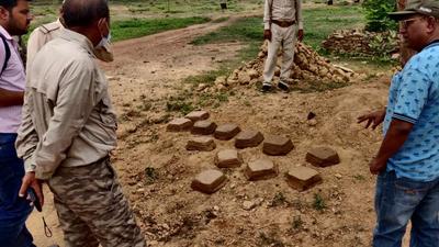 The fragrant bricks were earlier successfully used in Kanha Tiger Reserve to draw herbivores from buffer to core area. (Sourced Photo- Courtesy-Wildlife department)