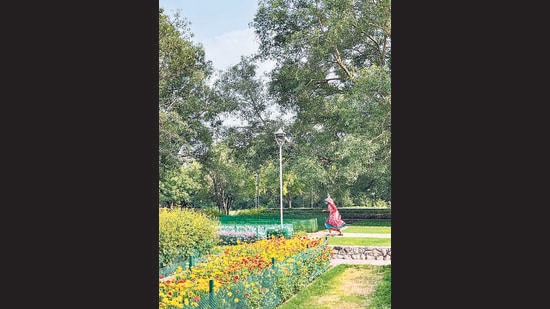 At 1pm sharp, all workers open their lunch boxes in their working areas, turning the whole garden into a canteen. (Mayank Austen Soofi/HT Photo) At 1pm sharp, all workers open their lunch boxes in their working areas, turning the whole garden into a canteen. (Mayank Austen Soofi/HT Photo)