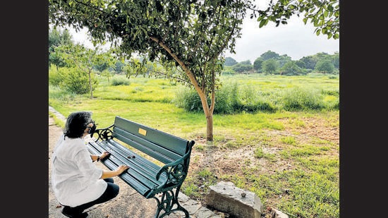 A memorial bench to commemorate journalist Ashish Yechury, who died of Covid in April. (Mayank Austen Soofi/HT Photo) A memorial bench to commemorate journalist Ashish Yechury, who died of Covid in April. (Mayank Austen Soofi/HT Photo)