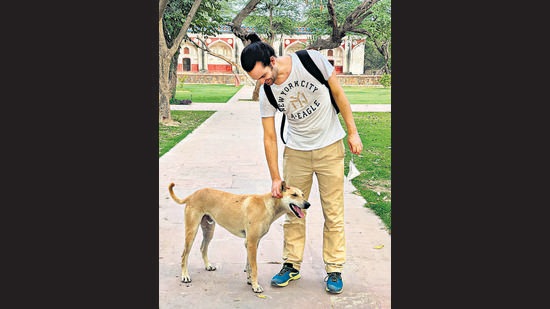 This brown dog selects his favourites among the random visitors, sniffing them lovingly and never forgetting them, distinguishing them on their return. (Mayank Austen Soofi/HT Photo) This brown dog selects his favourites among the random visitors, sniffing them lovingly and never forgetting them, distinguishing them on their return. (Mayank Austen Soofi/HT Photo)