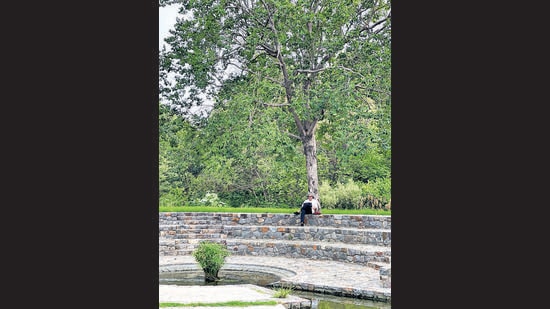 This tiny amphitheatre at the edge of the Wilderness has been the meeting point of the so-called Silent Book Club. (Mayank Austen Soofi/HT Photo) This tiny amphitheatre at the edge of the Wilderness has been the meeting point of the so-called Silent Book Club. (Mayank Austen Soofi/HT Photo)