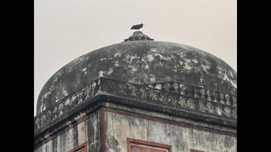 You may spot 80 species of birds in the park. (Mayank Austen Soofi/HT Photo) You may spot 80 species of birds in the park. (Mayank Austen Soofi/HT Photo)