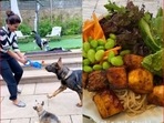 Priyanka Chopra is the happiest as she enjoys some time with her pet dogs in the UK.