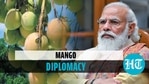 2,600 kg mangoes for PM Modi, Mamata sent by Bangladesh PM Hasina 2,600 kg mangoes for PM Modi, Mamata sent by Bangladesh PM Hasina