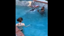 The image shows Boogie the dog jumping into the pool to save its human.