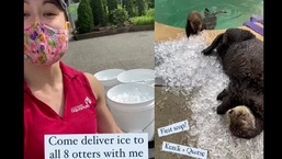 The image shows Nadine Trottier delivering ice to the otters.