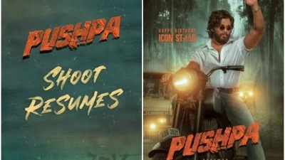 Pushpa stars Allu Arjun and Rashmika Mandanna in lead roles.