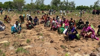 The programme was planned and successfully executed by dividing the entire region into ten sectors where more than 30,000 TRS members and locals participated. (ANI Photo) The programme was planned and successfully executed by dividing the entire region into ten sectors where more than 30,000 TRS members and locals participated. (ANI Photo)
