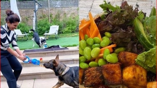 Priyanka Chopra is the happiest as she enjoys some time with her pet dogs in the UK.