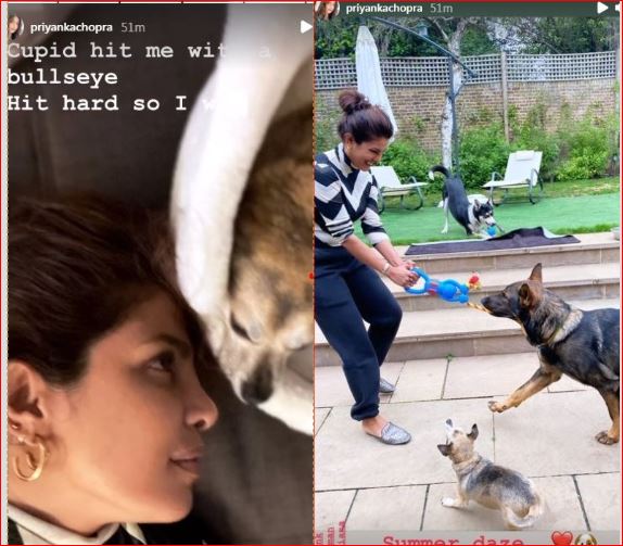 Priyanka Chopra enjoys her time with her pets.