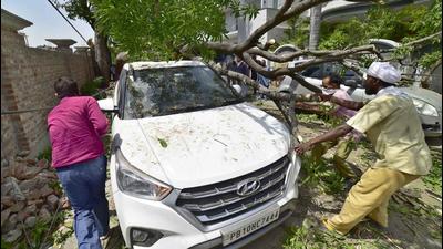 A car damaged after a tree collapse in Tagore Nagar area of Ludhiana. (HT PHOTO)