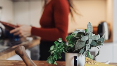 Sage: This is a herb that is used while preparing meats, vegetables and sauces. Do not use it in excess since the taste can be a little overpowering and might overwhelm different other flavours. (Unsplash)
