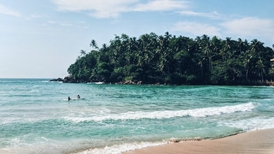 From history buffs to water babies and wildlife enthusiasts, Sri Lanka has a sport for everyone visiting the island. Here are seven reasons why you need to add Sri Lanka to your bucket list and visit as soon as the pandemic ends. (Unsplash) From history buffs to water babies and wildlife enthusiasts, Sri Lanka has a sport for everyone visiting the island. Here are seven reasons why you need to add Sri Lanka to your bucket list and visit as soon as the pandemic ends. (Unsplash)