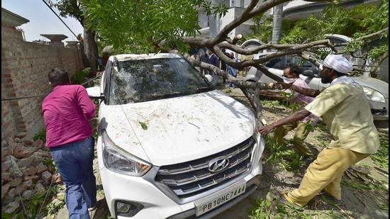 A car damaged after a tree collapse in Tagore Nagar area of Ludhiana. (HT PHOTO)