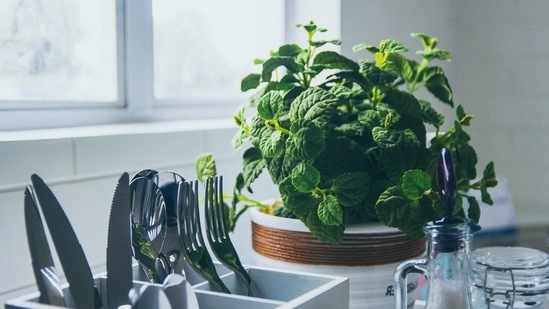 The lockdown has made a lot of people involve themselves in different home activities. While some found peace in cooking and baking, some started gardening. Here are a few edible plants you can easily grow in your kitchen garden without putting in much effort.(Unsplash)