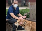 The image shows Samson reunited with his owner after 10 years. The image shows Samson reunited with his owner after 10 years.