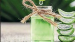 Aloe vera, experts say, is more than just a cure for hair and skin-related issues. (Photo: Shutterstock) Aloe vera, experts say, is more than just a cure for hair and skin-related issues. (Photo: Shutterstock)