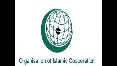 Don’t allow OIC platform to be subverted by ‘vested interests’ like Pakistan, says India Don’t allow OIC platform to be subverted by ‘vested interests’ like Pakistan, says India