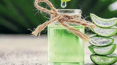 Aloe vera, experts say, is more than just a cure for hair and skin-related issues. (Photo: Shutterstock) Aloe vera, experts say, is more than just a cure for hair and skin-related issues. (Photo: Shutterstock)
