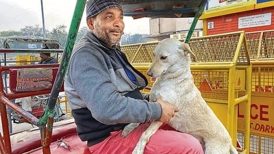Syyed’s Bhuriya is a stray dog. Every night she sleeps on his rickshaw’s floor-board, or underneath the vehicle, depending on her mood. (HT Photo) Syyed’s Bhuriya is a stray dog. Every night she sleeps on his rickshaw’s floor-board, or underneath the vehicle, depending on her mood. (HT Photo)