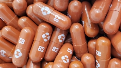 The most common adverse events which were seen during Molnupiravir's trial were diarrhoea, headache and nausea, the company added. (AFP) The most common adverse events which were seen during Molnupiravir's trial were diarrhoea, headache and nausea, the company added. (AFP)