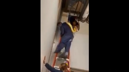 The image shows the rescuers pulling out the 12-foot-long python from a hole.(Facebook/@BlueZooBatonRouge )