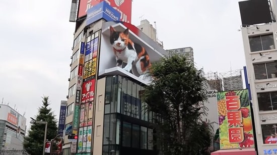 Giant 'cat' billboard installed in in Japan’s Tokyo.(YouTube/@CROSS SPACE)