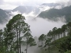 Travelers are required to make online booking of their accommodation in Mussoorie after getting negative reports of RT-PCR tests. Those without a Covid-19 negative report would be denied entry. (Photo via Creative Commons) Travelers are required to make online booking of their accommodation in Mussoorie after getting negative reports of RT-PCR tests. Those without a Covid-19 negative report would be denied entry. (Photo via Creative Commons)