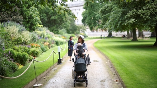 A visitor walks past the herbaceous border at the The Garden of Buckingham Palace, during a preview day before it opens to the public, in London, Britain, July 8, 2021. The Rose Garden at Buckingham Palace is made up of formal beds, in the Victorian style. This part of the garden however dates from the 1960s.(REUTERS)